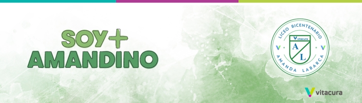 Bases Concurso SOY+ Amandino